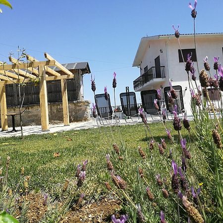 Abrigo Das Andorinhas Aveiro Zewnętrze zdjęcie