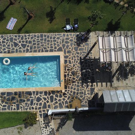 Abrigo Das Andorinhas Aveiro Zewnętrze zdjęcie