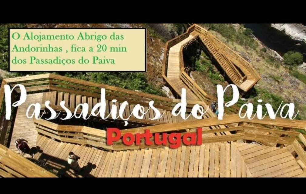 Abrigo Das Andorinhas Aveiro Zewnętrze zdjęcie