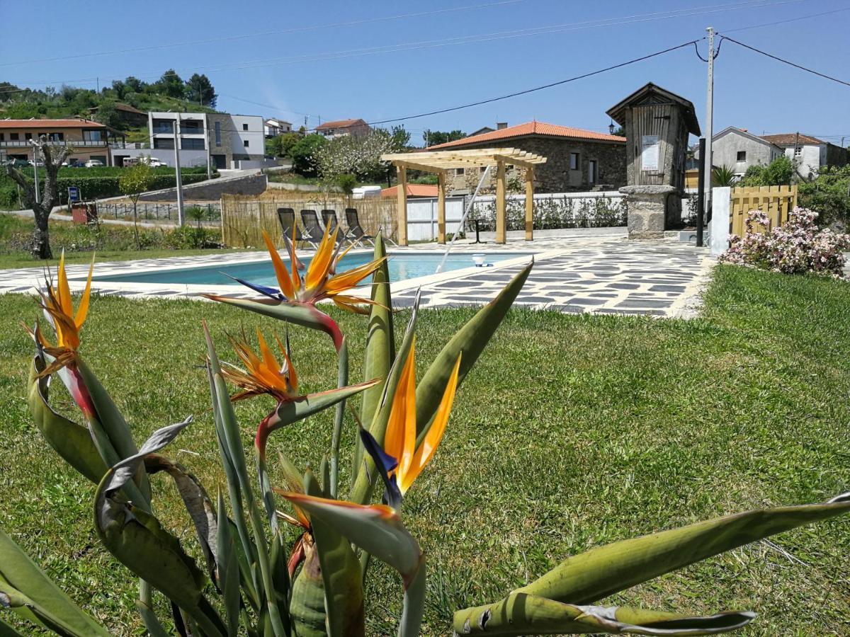 Abrigo Das Andorinhas Aveiro Zewnętrze zdjęcie
